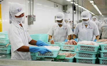 Thủy sản mặt hàng tiềm năng xuất khẩu vào thị trường Bắc Âu. (Ảnh QUỐC TUẤN)