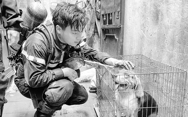 Thượng úy Đỗ Đức Việt, một trong ba cán bộ, chiến sĩ đã anh dũng hy sinh.