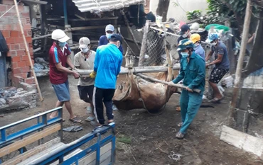 Dịch bệnh viêm da nổi cục trên gia súc gây thiệt hại nặng cho nông dân thị xã Đức Phổ. 