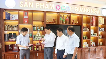 Sản phẩm OCOP Quảng Ngãi sẽ vươn xa thông qua kênh thương mại điện tử.