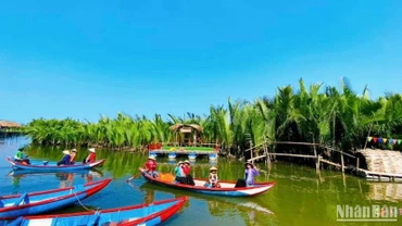 Du khách trải nghiệm điểm du lịch rừng dừa nước Tịnh Khê, ở xã Tịnh Khê, thành phố Quảng Ngãi.