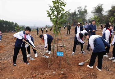 Bác Hồ với “Tết trồng cây” và “Tết trồng người”