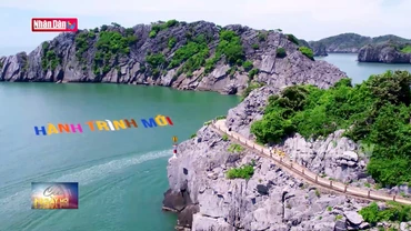 Giải Marathon Quốc tế VTV LPBank - “Sắc màu hoàng hôn Cát Bà 2024”