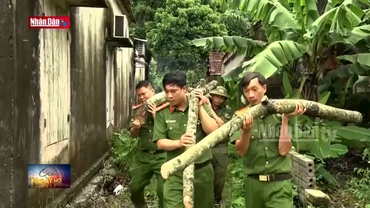 Hà Nam: Công an giúp dân khắc phục hậu quả sau cơn bão số 3