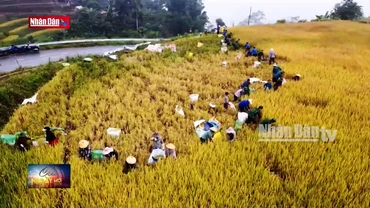 Lai Châu: Bộ đội Biên phòng giúp đỡ người dân biên giới