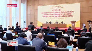 Cân nhắc quy định mở rộng đấu giá biển số xe