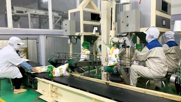 Ðóng gói gạo xuất khẩu tại nhà máy gạo của Công ty cổ phần Tập đoàn Lộc Trời ở huyện Thoại Sơn, tỉnh An Giang. (Ảnh TRẦN NGỌC)