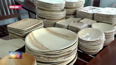Độc đáo sản phẩm hữu cơ từ mo cau