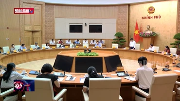 Khẩn trương hoàn thiện chiến lược quốc gia về người cao tuổi