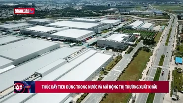 Thúc đẩy tiêu dùng trong nước và mở rộng thị trường xuất khẩu