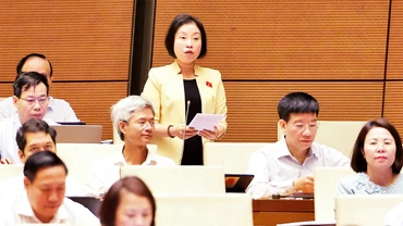 Ðại biểu Phạm Thị Thanh Mai (Ðoàn đại biểu Quốc hội thành phố Hà Nội) phát biểu tại Hội trường. (Ảnh Quang Khánh)
