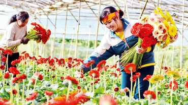 Ðà Lạt, thành phố ngàn hoa quanh năm khoe sắc.