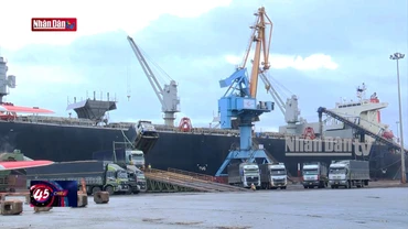 Khai thác lợi thế phát triển Logistics cảng biển