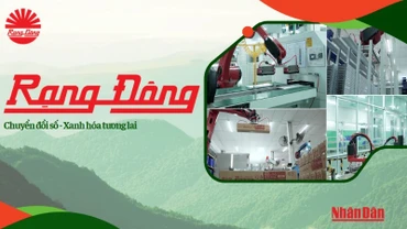 Rạng Đông: Chuyển Đổi Số, Xanh Hóa Tương Lai 