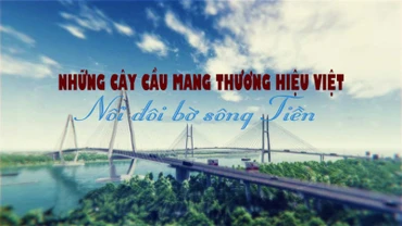 Người Việt làm chủ công nghệ xây cầu dây văng qua sông Tiền