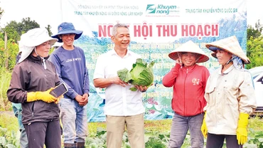 Người dân xã Thuận Hạnh, huyện Đắk Song phấn khởi khi thu được kết quả từ mô hình liên kết sản xuất cây bắp cải.