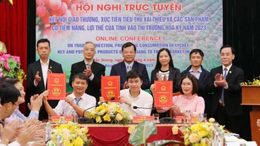 Các đại biểu ký kết xuất khẩu vải thiều sang Mỹ tại điểm cầu Bắc Giang.