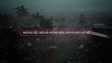 [Video] Những điều nên làm và không nên làm khi bão đổ bộ