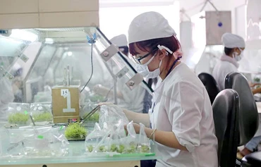 “Đầu kéo” cho nông nghiệp Việt Nam 