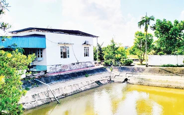 Nhà máy nước Đông Phương (huyện Kiến Thụy) không bảo đảm chất lượng nước sạch cung ứng, gây bức xúc cho người dân sẽ phải thay thế.