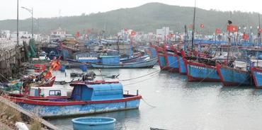 Ở nhiều địa phương, tàu cá đang nằm bờ, gây lãng phí. Ảnh: Phạm Anh