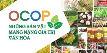 Chương trình Mỗi xã một sản phẩm