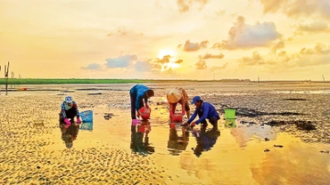 Người dân địa phương mưu sinh bằng nghề cào nghêu trên bãi cát Khai Long.