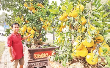 Anh Nguyễn Đặng Thành, chủ vựa hoa, cây cảnh Hưng Thịnh, thành phố Thủ Đức.