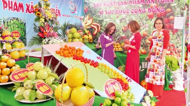 Nhiều hộ nông dân ở huyện Hữu Lũng đem sản phẩm đến tham dự trưng bày quảng cáo tại các lễ hội cây ăn quả của huyện và tỉnh. 