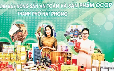 Giới thiệu các sản phẩm OCOP, nông sản an toàn, đặc sản Hải Phòng.
