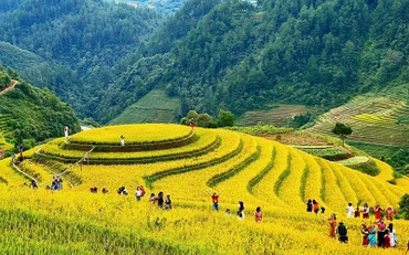 Du khách khám phá vẻ đẹp của ruộng bậc thang tại xã La Pán Tẩn, huyện Mù Cang Chải (Yên Bái). (Ảnh Hạnh Hoàng) 