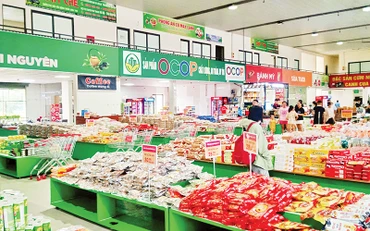Hàng trăm sản phẩm OCOP của tỉnh Thái Nguyên được giới thiệu, bày bán tại Trạm dừng nghỉ Hải Đăng trên tuyến cao tốc Hà Nội - Thái Nguyên.