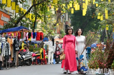 Chợ hoa Tết phố Hàng Lược (Hà Nội). Ảnh: Thành Đạt