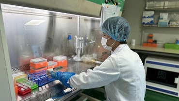 Kỹ thuật viên Trung tâm Giám định ADN thực hiện tách chiết ADN mẫu hài cốt liệt sĩ.