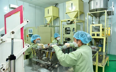 Đóng gói gạo "Sức sống Mekong" tại Nhà máy lương thực Vĩnh Hưng (huyện Vĩnh Hưng, Long An).