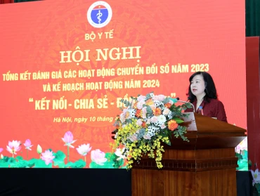 Bộ trưởng Y tế Đào Hồng Lan phát biểu tại hội nghị.