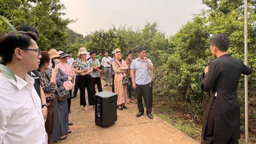 Hướng dẫn livestream bán hàng cho các hộ dân và hợp tác xã tại vườn mận xã Chiềng Đen (thành phố Sơn La, tỉnh Sơn La).