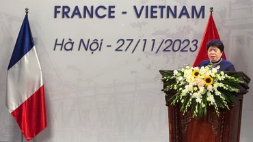 Chủ tịch Nhóm Nghị sĩ hữu nghị Việt Nam-Pháp Nguyễn Thúy Anh phát biểu.