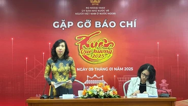 Thứ trưởng Ngoại giao, Chủ nhiệm Ủy ban Nhà nước về người Việt Nam ở nước ngoài Lê Thị Thu Hằng phát biểu.