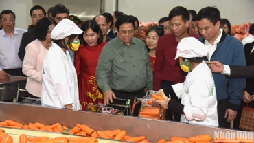 Thủ tướng Phạm Minh Chính thăm cơ sở sơ chế cà rốt của Hợp tác xã Dịch vụ nông nghiệp Đức Chính. 