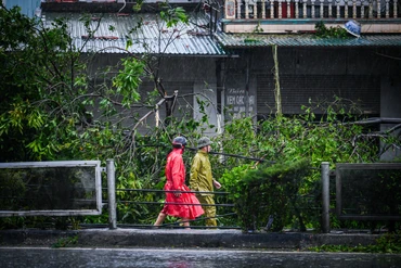 "Cứu" cây sau bão sẽ rút ngắn được thời gian phủ xanh đô thị tới 20 năm 