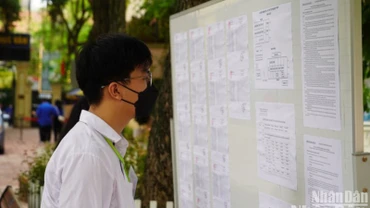 Đến nay, có 19 cơ sở đào tạo đại học chấp nhận kết quả thi V-SAT để tuyển sinh năm 2025. (Ảnh: THÀNH ĐẠT)