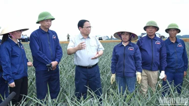 Thủ tướng Phạm Minh Chính thăm, nói chuyện với công nhân Công ty cổ phần Thực phẩm xuất khẩu Đồng Giao tại cánh đồng dứa nguyên liệu. 