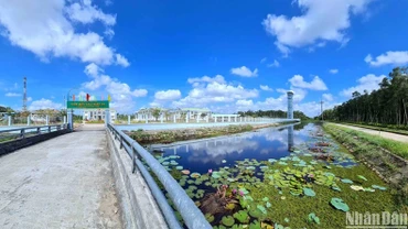 Ảnh minh họa: HỮU TÙNG