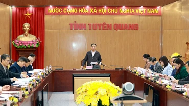 Phó Thủ tướng Chính phủ, Bộ trưởng Ngoại giao Bùi Thanh Sơn chủ trì buổi làm việc.