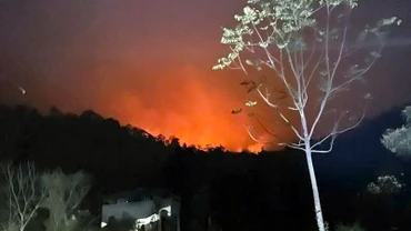 Đám cháy khởi phát từ địa bàn tỉnh Thái Nguyên cháy lan sang khu vực núi Ông Mo ở xã Trung Yên, huyện Sơn Dương, tỉnh Tuyên Quang.