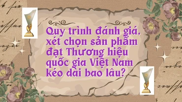 Quy trình đánh giá, xét chọn sản phẩm đạt Thương hiệu Quốc gia Việt Nam kéo dài bao lâu?
