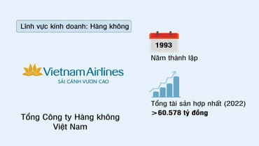 Tổng Công ty Hàng không Việt Nam (VIETNAM AIRLINES)