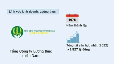 Tổng công ty Lương thực miền Nam (VINAFOOD2)