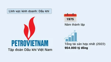 Tập đoàn Dầu khí Việt Nam (PETROVIETNAM)